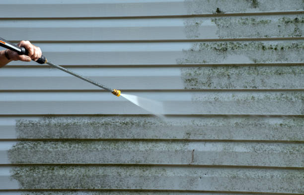 Best Fence Cleaning  in Bridge City, TX