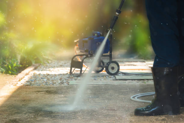 Animal Enclosure Cleaning in Bridge City, TX
